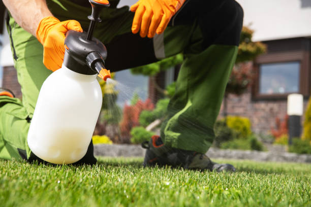 Reliable Salisbury, MD Pest Control Solutions