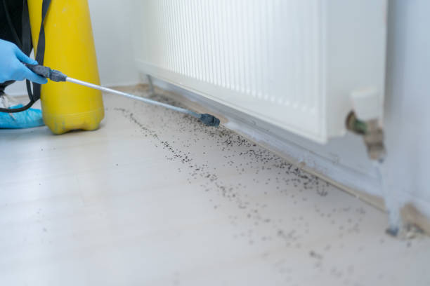 Best Affordable Pest Control Services  in Salisbury, MD