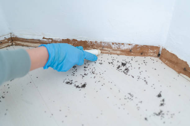Best Pest Removal Services  in Salisbury, MD