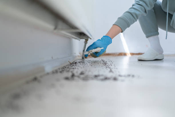 Best Commercial Pest Control Services  in Salisbury, MD