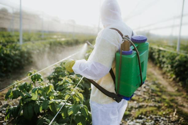 Insect Control in Salisbury, MD